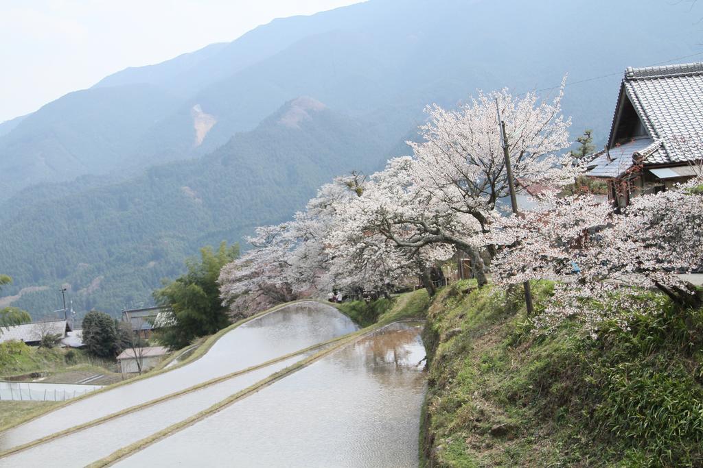Miyako City Tsu Extérieur photo